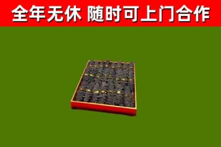 潮南区回收海参